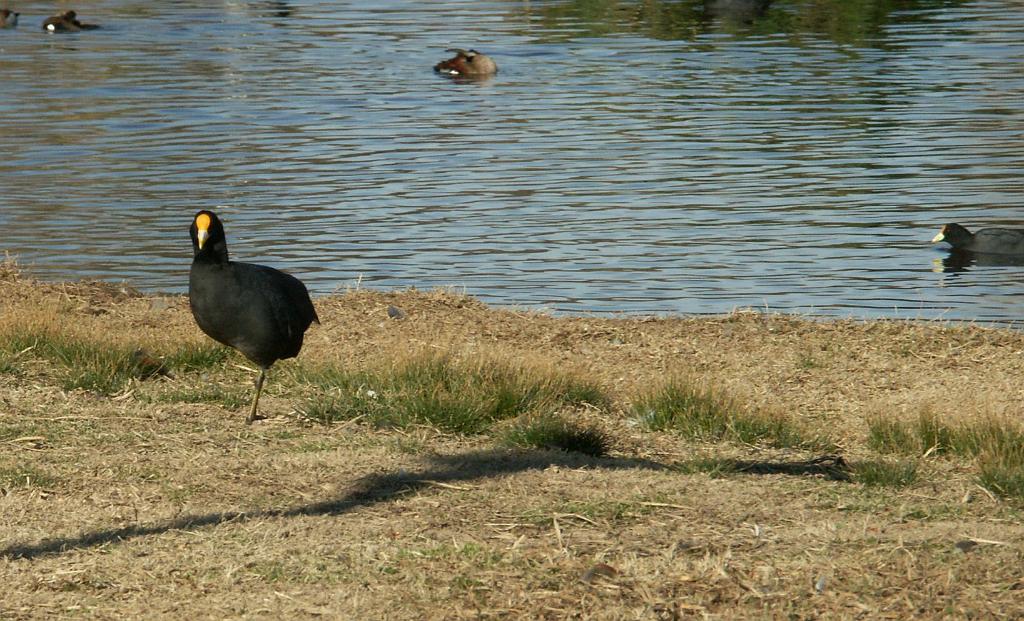 090809_San_Ceferino 066.jpg